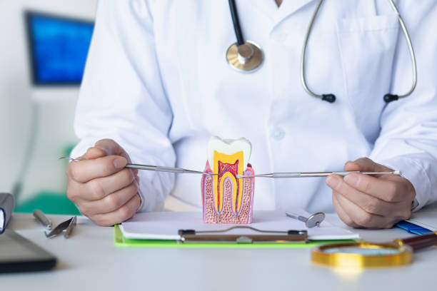Best Pediatric Emergency Dentist in Oklahoma, PA